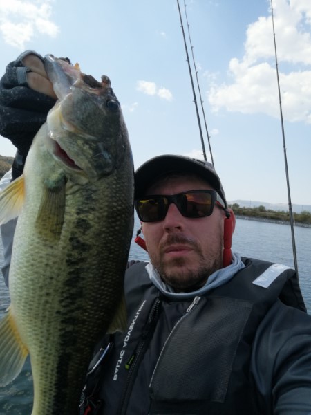 Fish Profile Picture