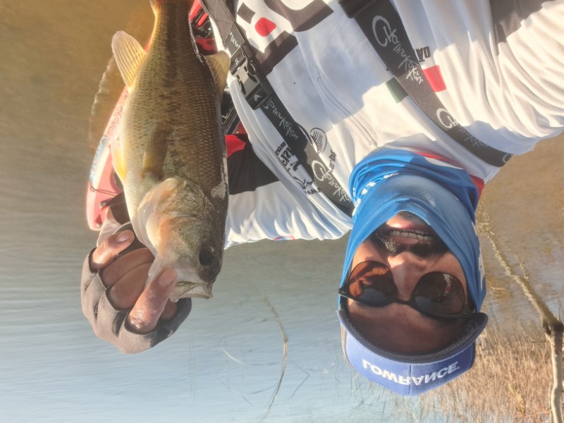 Fish Profile Picture