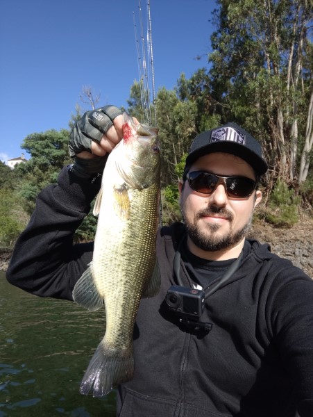 Fish Profile Picture