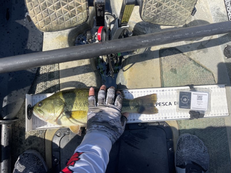 Fish Measure Picture