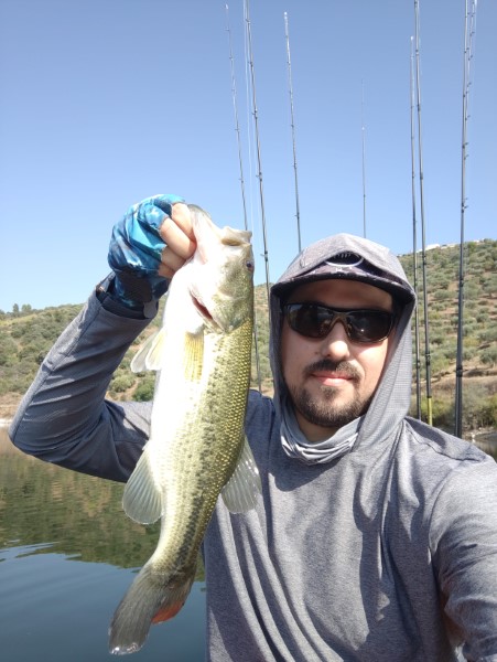 Fish Profile Picture