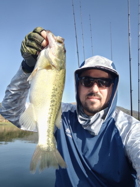 Fish Profile Picture